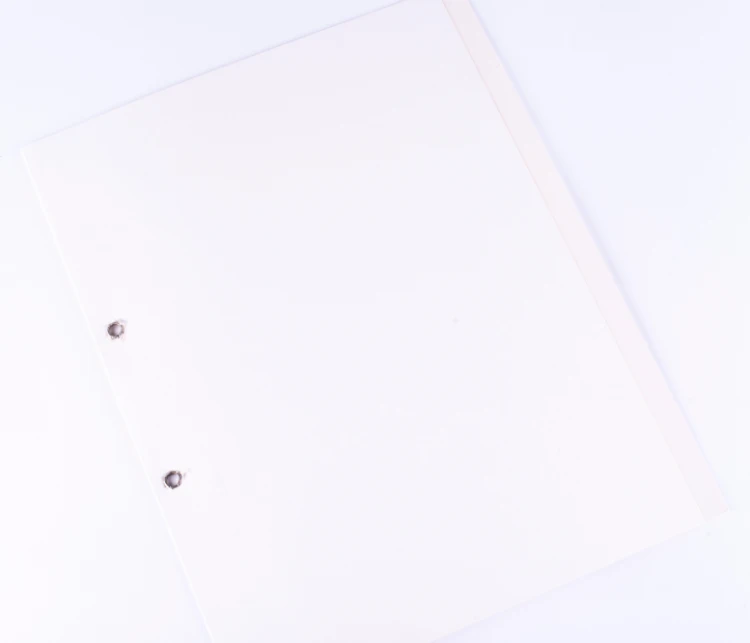 skoroszyt z oczkami.png