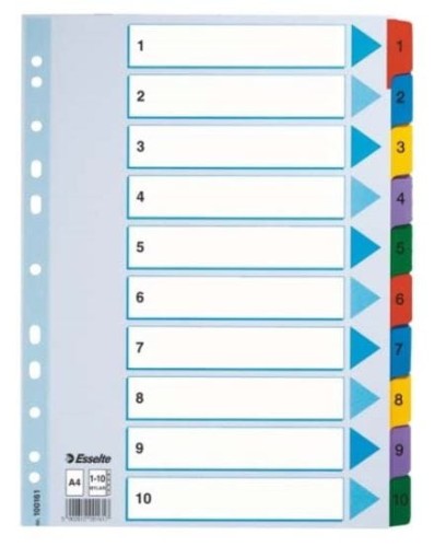 Mylar_Esselte A4.JPG