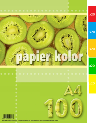 papier kolor A4 100 mix.png