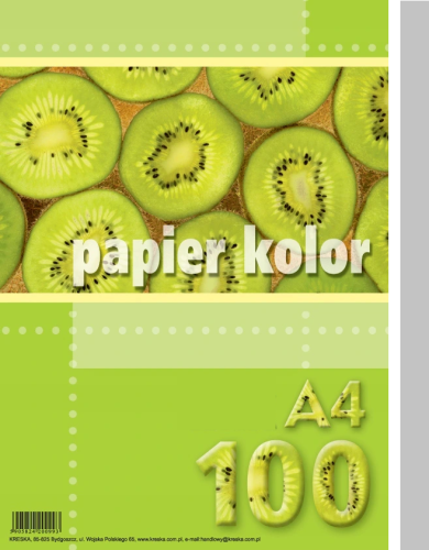 papier kolor A4 100 popielaty.png