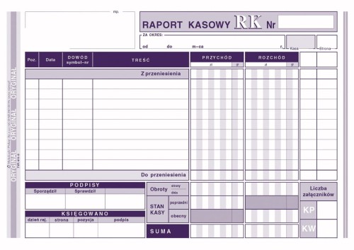 411-3-raport-kasowy.1_f.jpg