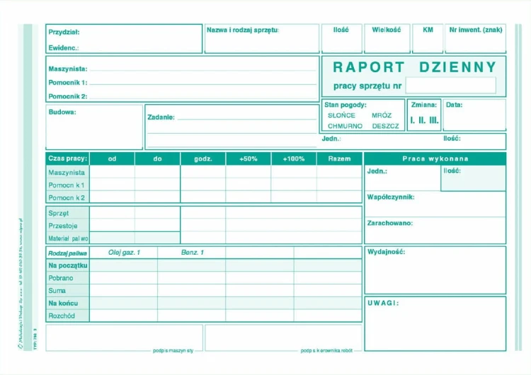 790-3-raport-dzienny-pracy.1_f.jpg