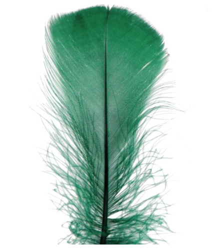 piórka zielone ciemne 1.png
