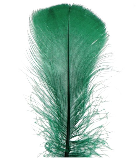piórka zielone ciemne 1.png