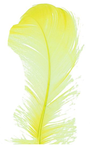 piórka żółte 1.png