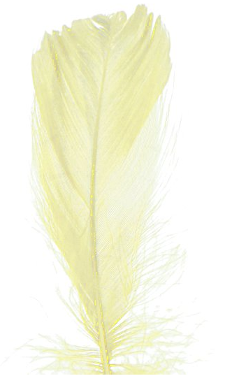piórka ecru 1.png