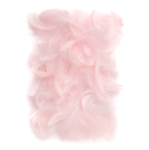 piórka różowe.png