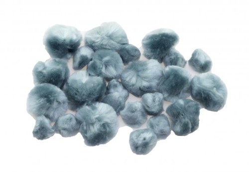 puszczyste szare.jpg