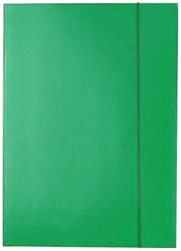 Teczka lakierowana Kreska-j.zielona.PNG