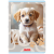 400206430_1501_preview.png