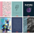 400206364_1200_preview.png