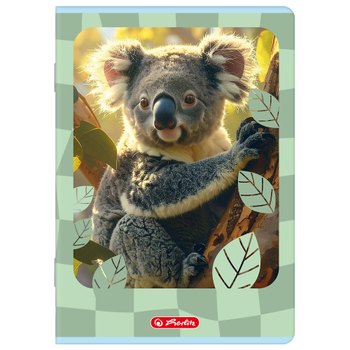 400206381_1501_preview.png
