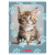 400206374_1501_preview.png
