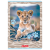 400206374_1507_preview.png