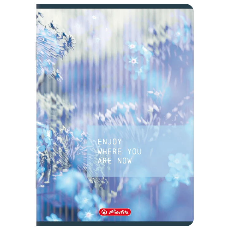 400208489_1504_preview.png