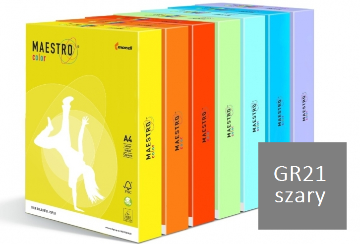 gr 21 mondi szary.png