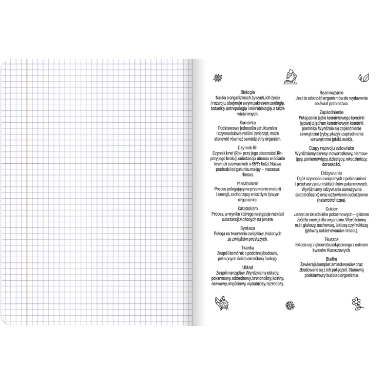 400197997_1501_preview.png
