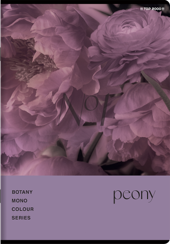 400181619_1100_preview.png
