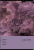 400181619_1100_preview.png