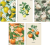 400182443_1200_preview.png