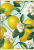 400182443_1501_preview.png