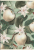 400182443_1502_preview.png
