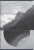 400182437_1501_preview.png
