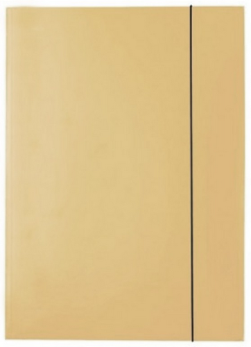 Teczka lakierowana Kreska-złota.PNG