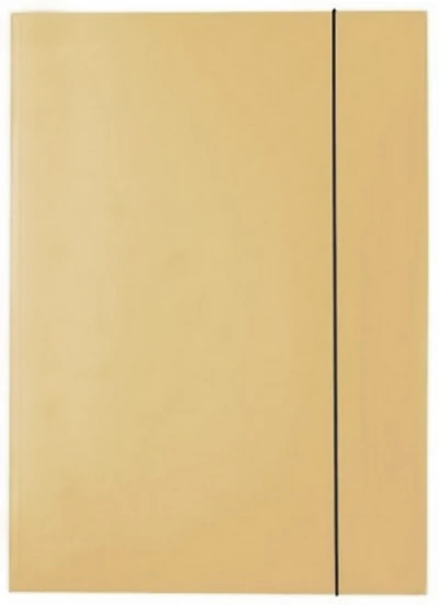 Teczka lakierowana Kreska-złota.PNG