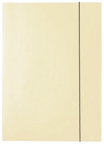 Teczka lakierowana Kreska-kremowa.PNG