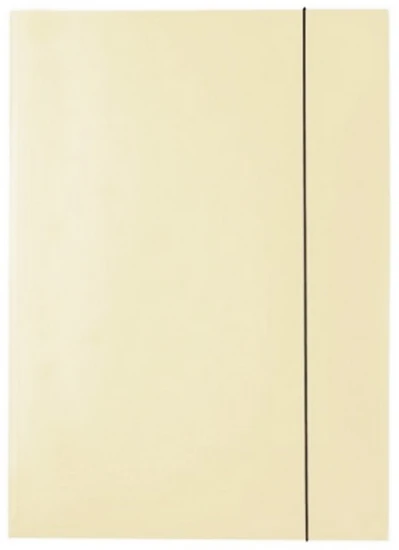 Teczka lakierowana Kreska-kremowa.PNG