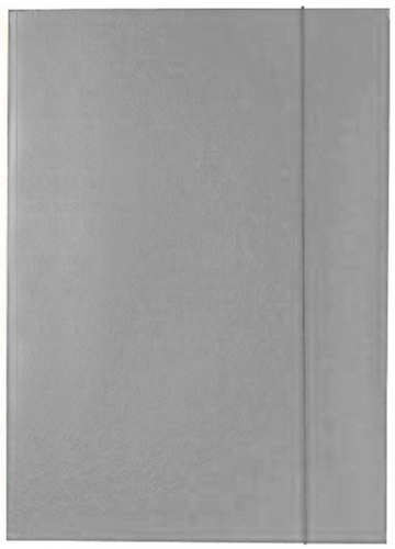 Teczka lakierowana Kreska-popielata.PNG