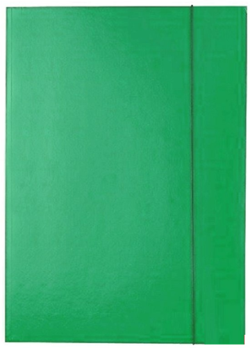 Teczka lakierowana Kreska-zielona.PNG