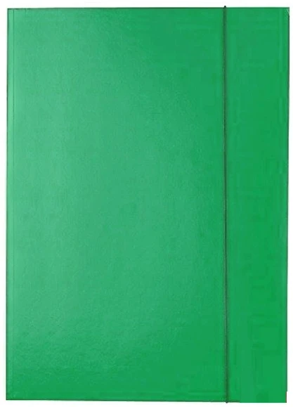 Teczka lakierowana Kreska-zielona.PNG